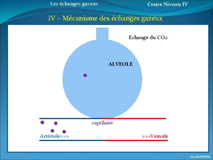 Les échanges gazeux Cours Niveau IV IV – Mécanisme des échanges gazeux Echange du