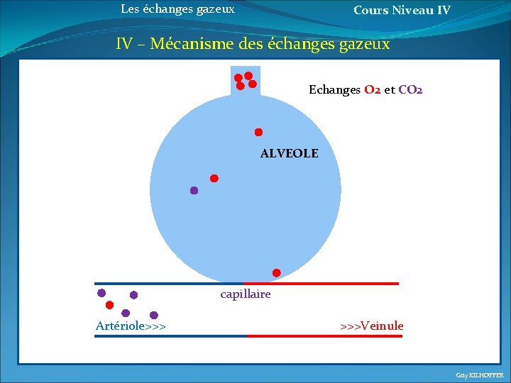 Les échanges gazeux Cours Niveau IV IV – Mécanisme des échanges gazeux Echanges O