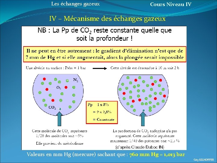 Les échanges gazeux Cours Niveau IV IV – Mécanisme des échanges gazeux Valeurs en