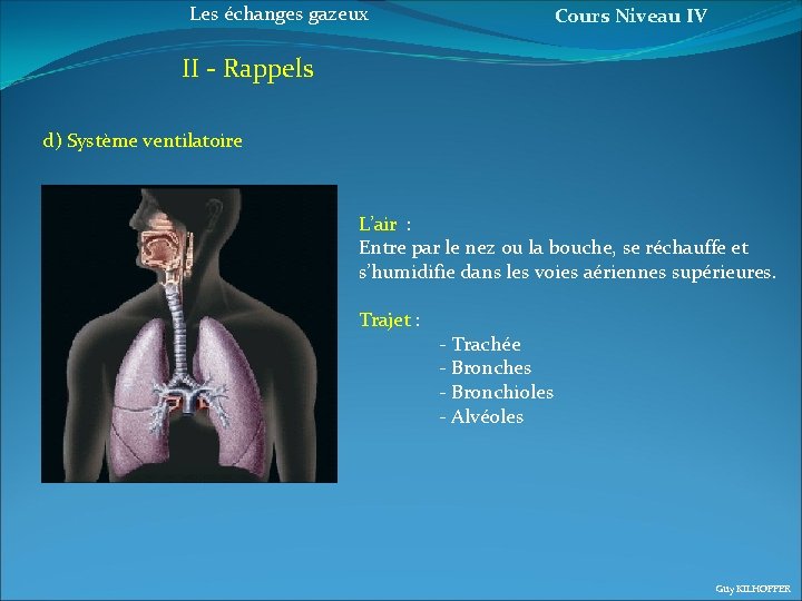 Les échanges gazeux Cours Niveau IV II - Rappels d) Système ventilatoire L’air :