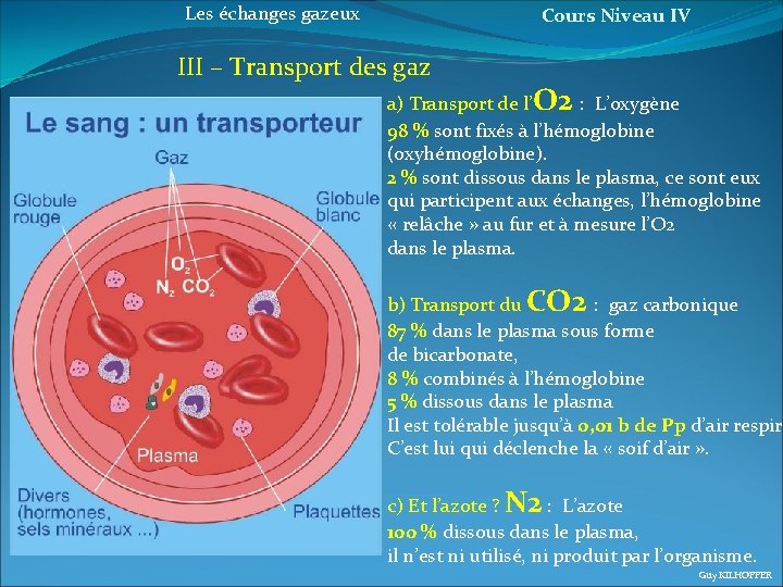 Les échanges gazeux Cours Niveau IV III – Transport des gaz a) Transport de