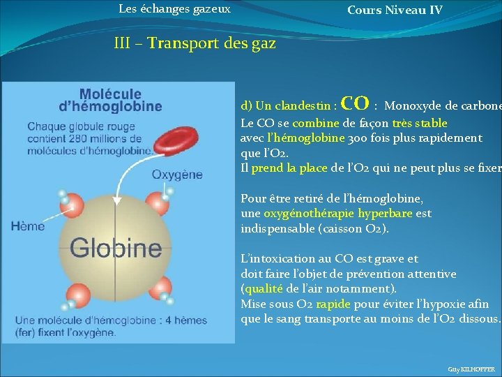 Les échanges gazeux Cours Niveau IV III – Transport des gaz d) Un clandestin