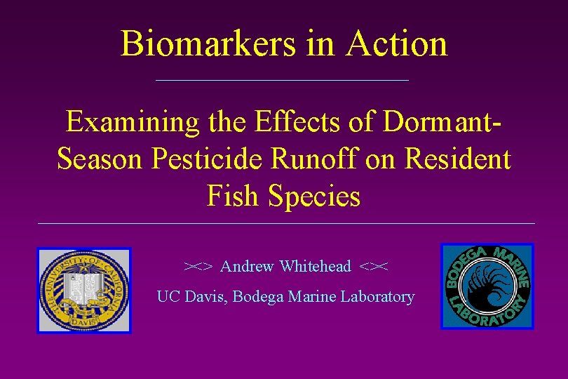 Biomarkers in Action Examining the Effects of Dormant. Season Pesticide Runoff on Resident Fish