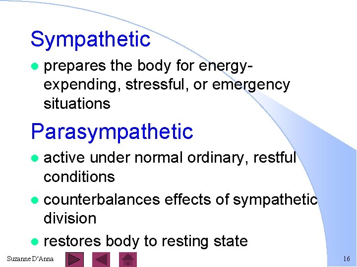 Sympathetic l prepares the body for energyexpending, stressful, or emergency situations Parasympathetic active under