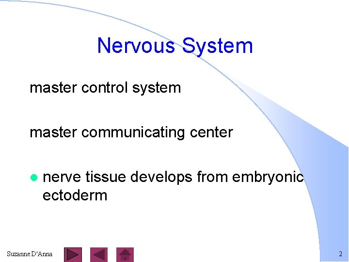 Nervous System master control system master communicating center l nerve tissue develops from embryonic