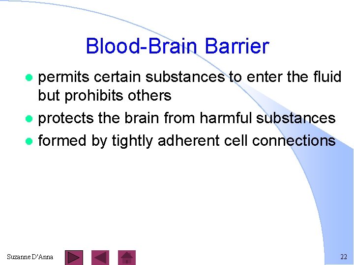 Blood-Brain Barrier permits certain substances to enter the fluid but prohibits others l protects