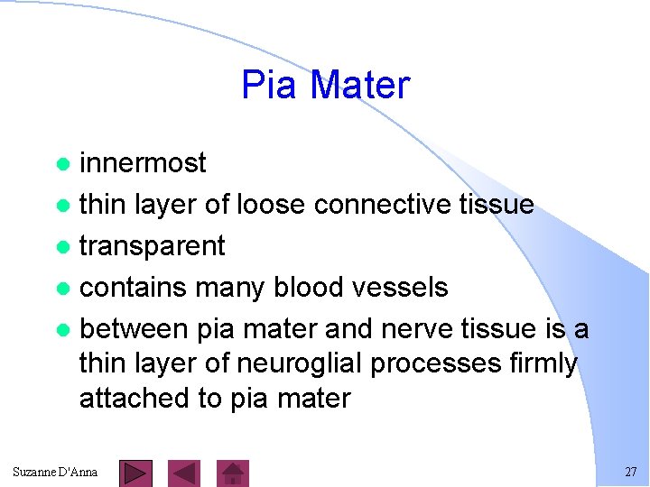 Pia Mater innermost l thin layer of loose connective tissue l transparent l contains