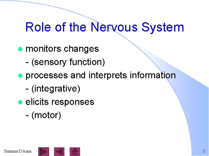 Role of the Nervous System monitors changes - (sensory function) l processes and interprets