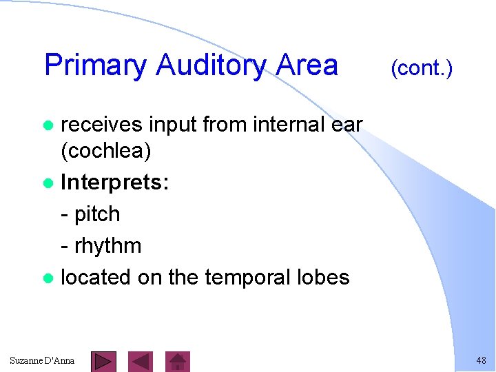 Primary Auditory Area (cont. ) receives input from internal ear (cochlea) l Interprets: -