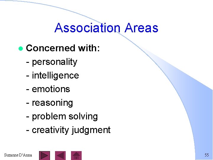 Association Areas l Concerned with: - personality - intelligence - emotions - reasoning -