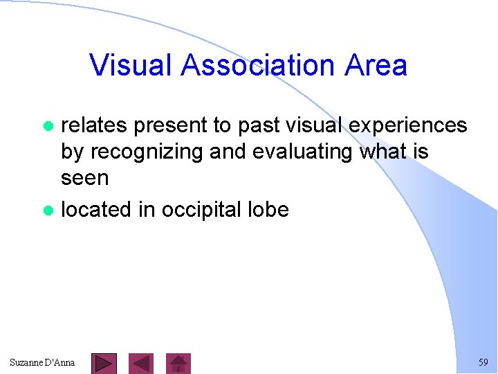 Visual Association Area relates present to past visual experiences by recognizing and evaluating what
