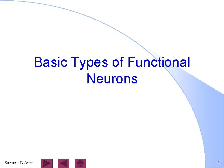 Basic Types of Functional Neurons Suzanne D'Anna 9 