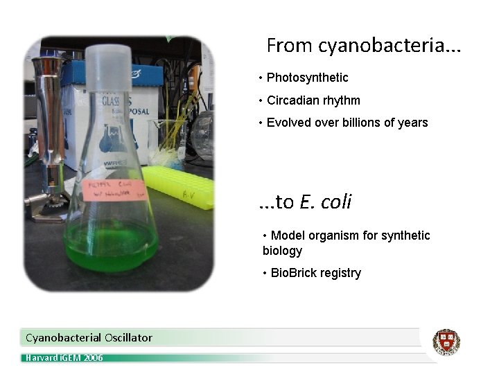 From cyanobacteria. . . • Photosynthetic • Circadian rhythm • Evolved over billions of
