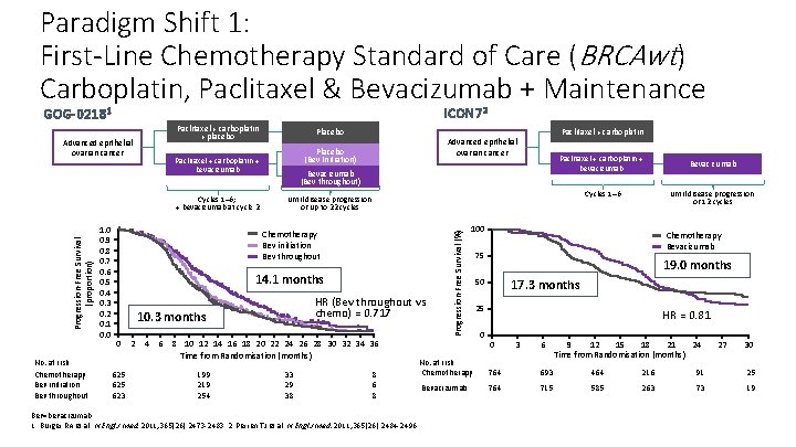 Paradigm Shift 1: First-Line Chemotherapy Standard of Care (BRCAwt) Carboplatin, Paclitaxel & Bevacizumab +