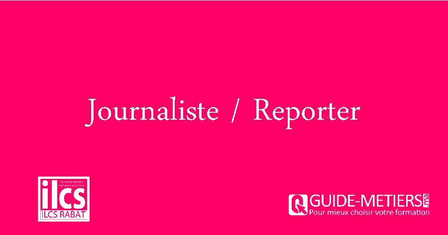 Journaliste / Reporter 