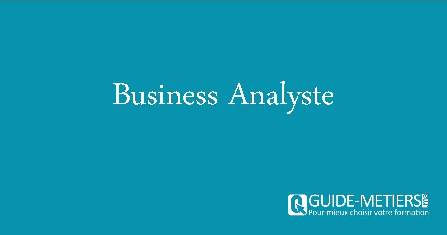 Business Analyste 