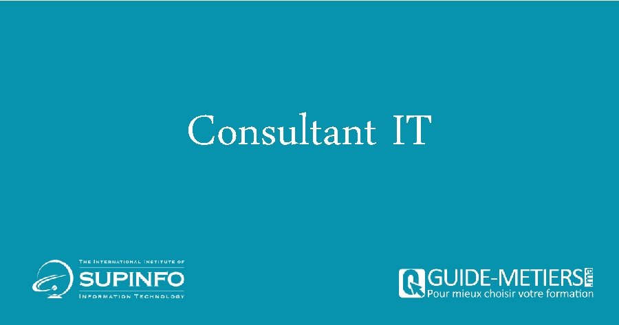 Consultant IT 