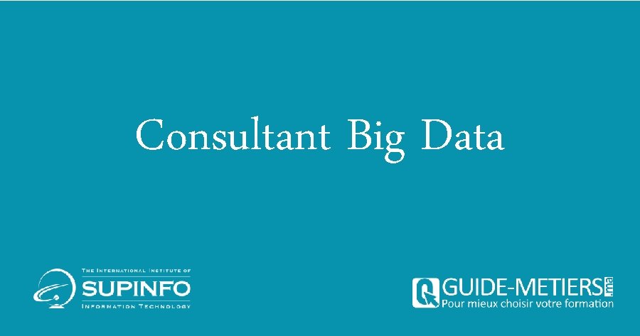 Consultant Big Data 