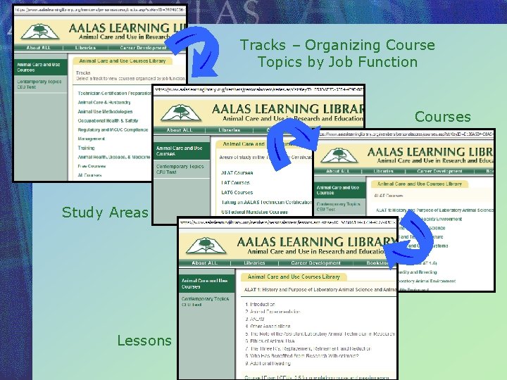Tracks – Organizing Course Topics by Job Function Courses Study Areas Lessons 