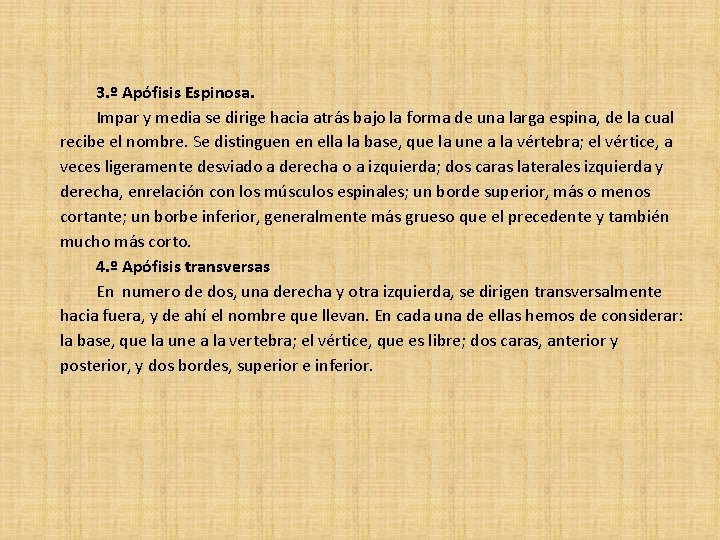 3. º Apófisis Espinosa. Impar y media se dirige hacia atrás bajo la forma 3. º Apófisis Espinosa. Impar y media se dirige hacia atrás bajo la forma