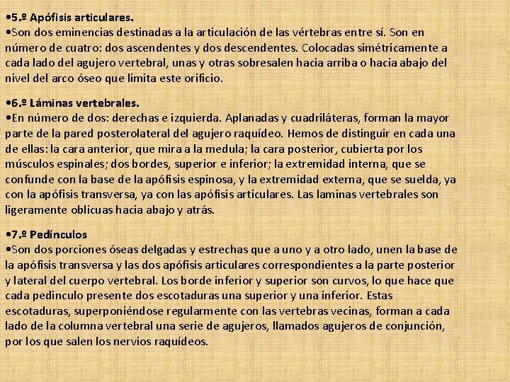  • 5. º Apófisis articulares. • Son dos eminencias destinadas a la articulación