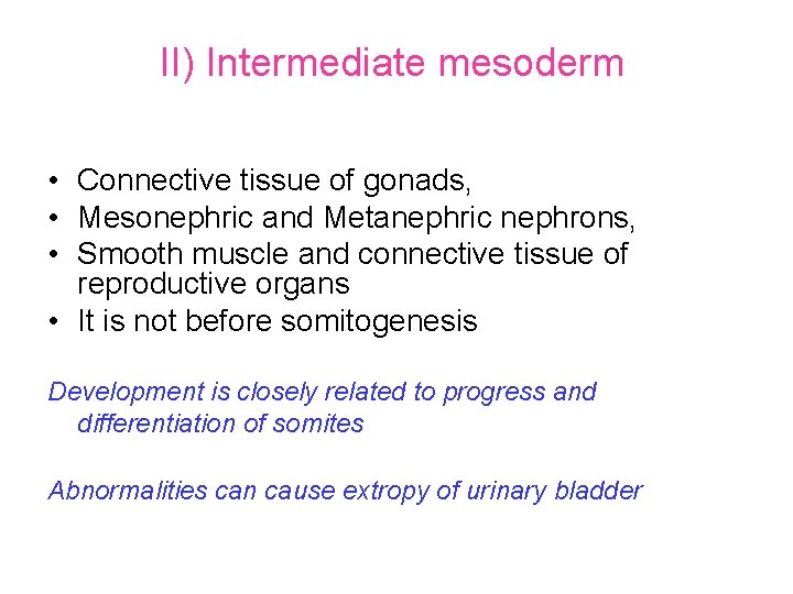 II) Intermediate mesoderm • Connective tissue of gonads, • Mesonephric and Metanephric nephrons, •