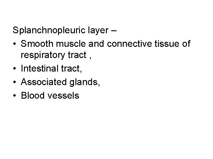 Splanchnopleuric layer – • Smooth muscle and connective tissue of respiratory tract , •