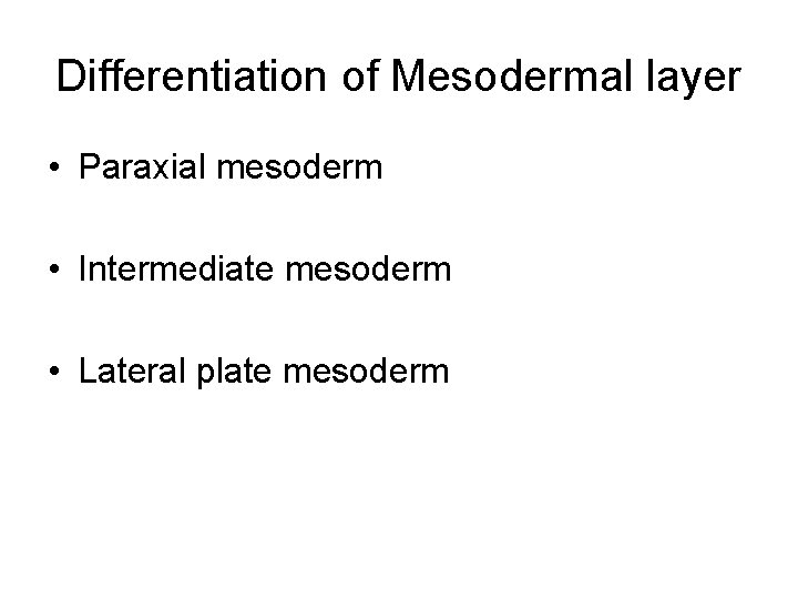 Differentiation of Mesodermal layer • Paraxial mesoderm • Intermediate mesoderm • Lateral plate mesoderm