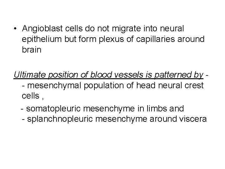  • Angioblast cells do not migrate into neural epithelium but form plexus of