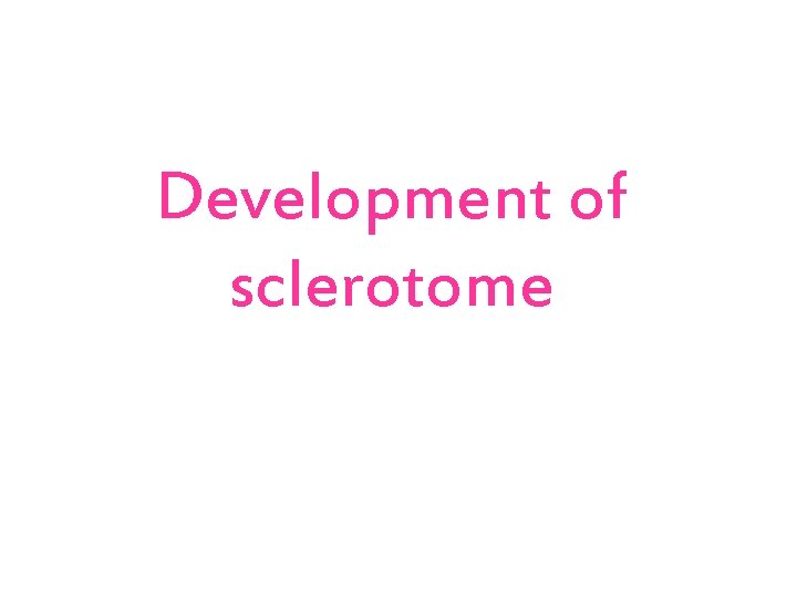 Development of sclerotome 