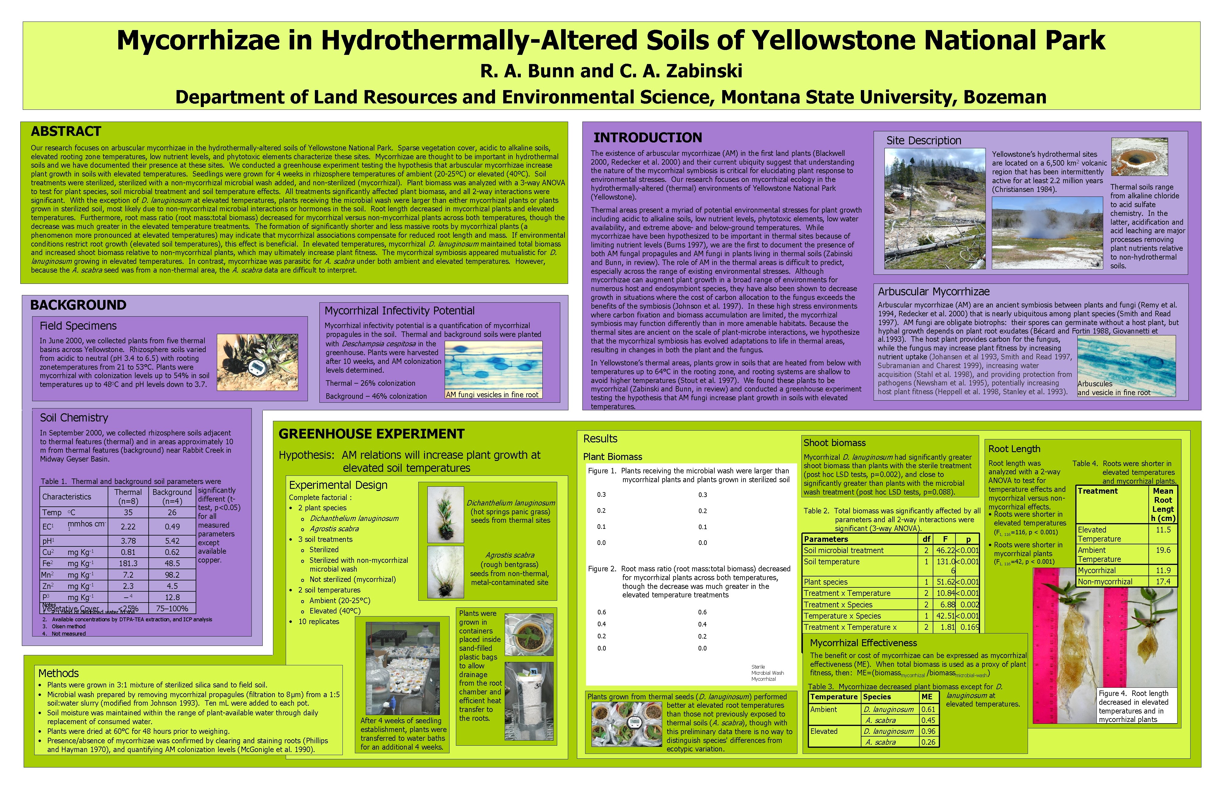 Mycorrhizae in Hydrothermally-Altered Soils of Yellowstone National Park R. A. Bunn and C. A.