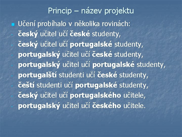 Princip – název projektu n - Učení probíhalo v několika rovinách: český učitel učí