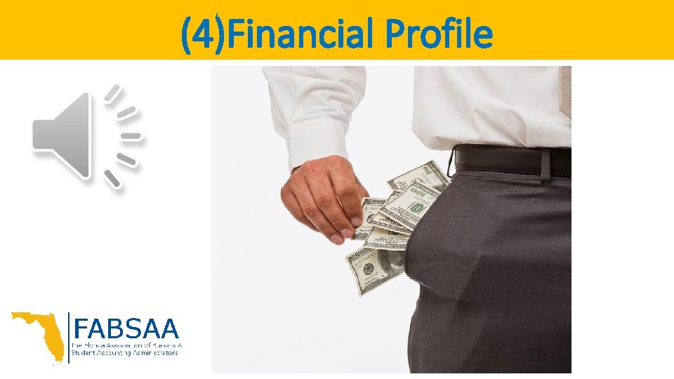 (4)Financial Profile 