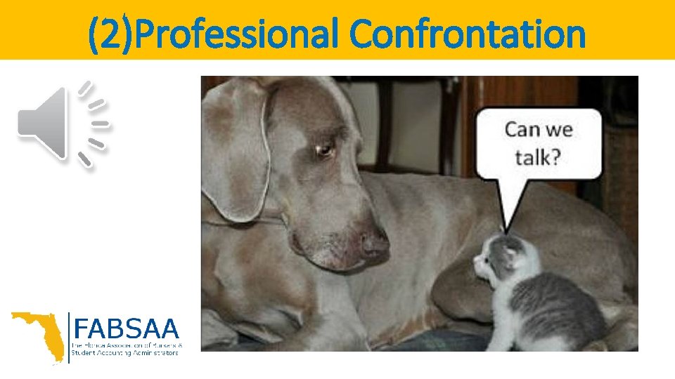 (2)Professional Confrontation 