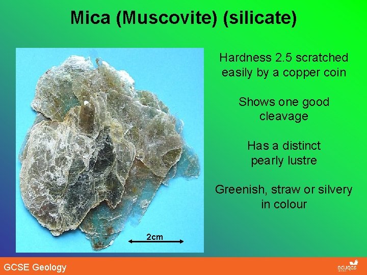 Mica (Muscovite) (silicate) Hardness 2. 5 scratched easily by a copper coin Shows one