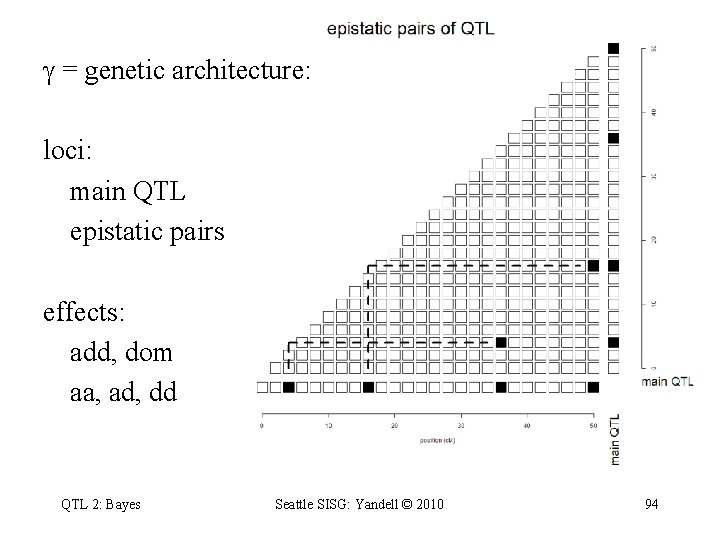  = genetic architecture: loci: main QTL epistatic pairs effects: add, dom aa, ad,