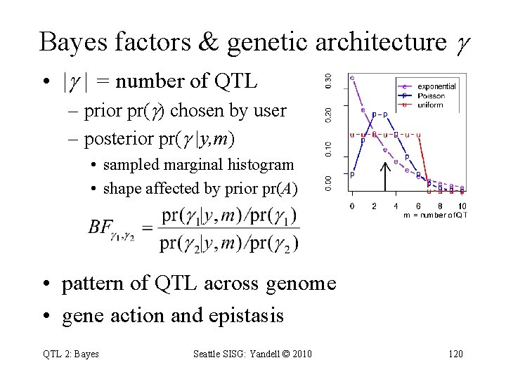 Bayes factors & genetic architecture • | | = number of QTL – prior