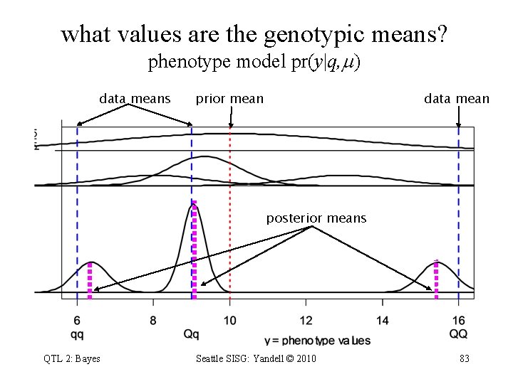 what values are the genotypic means? phenotype model pr(y|q, ) data means prior mean
