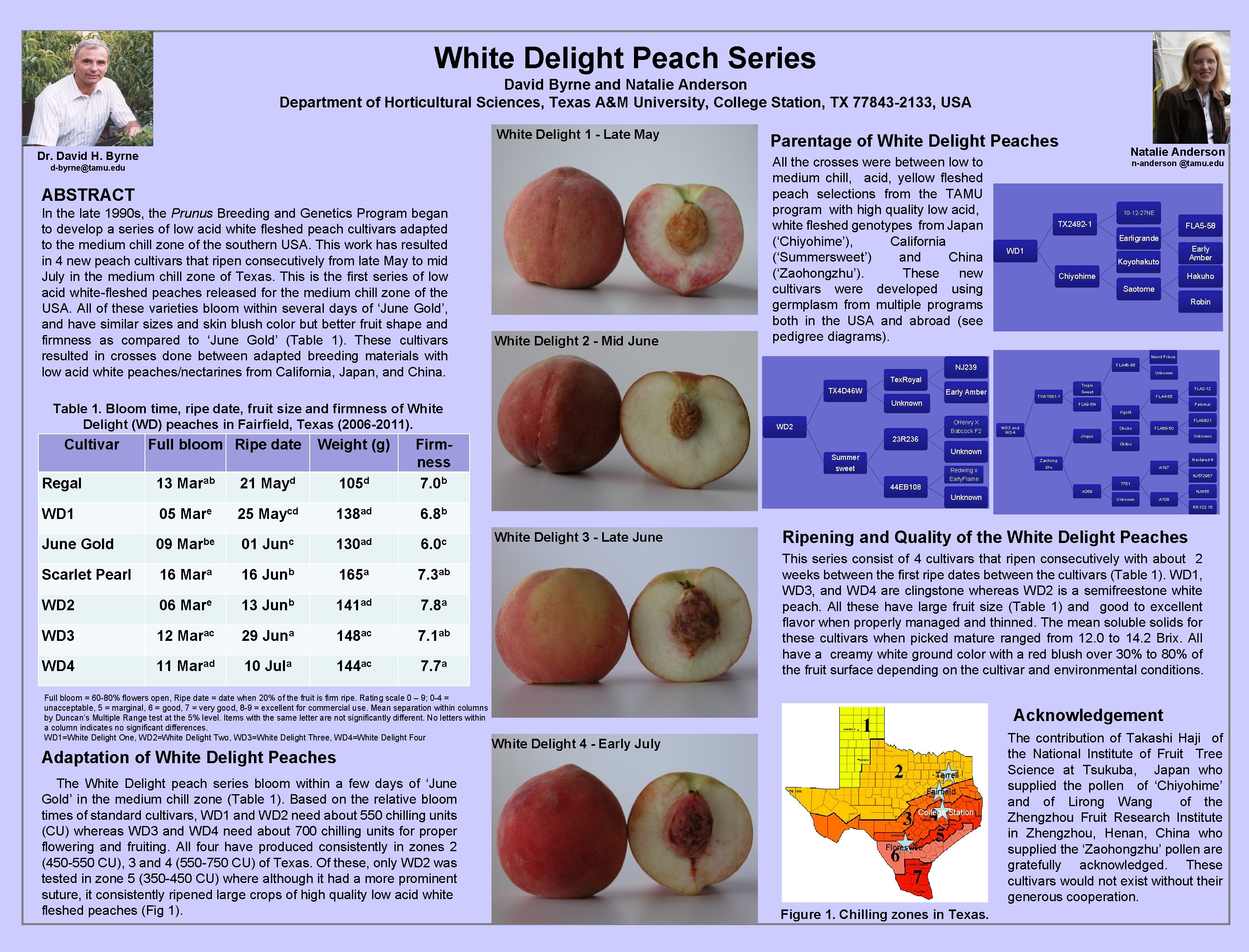 White Delight Peach Series David Byrne and Natalie Anderson Department of Horticultural Sciences, Texas