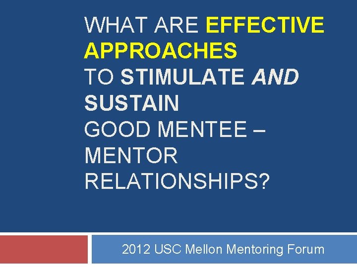 WHAT ARE EFFECTIVE APPROACHES TO STIMULATE AND SUSTAIN GOOD MENTEE – MENTOR RELATIONSHIPS? 2012 WHAT ARE EFFECTIVE APPROACHES TO STIMULATE AND SUSTAIN GOOD MENTEE – MENTOR RELATIONSHIPS? 2012