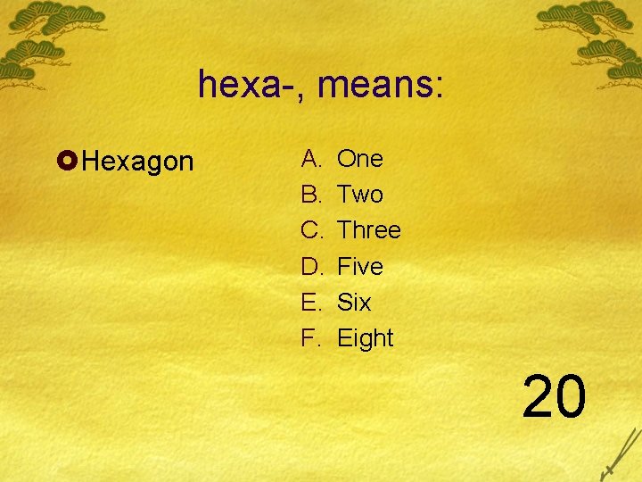 hexa-, means: £Hexagon A. B. C. D. E. F. One Two Three Five Six hexa-, means: £Hexagon A. B. C. D. E. F. One Two Three Five Six