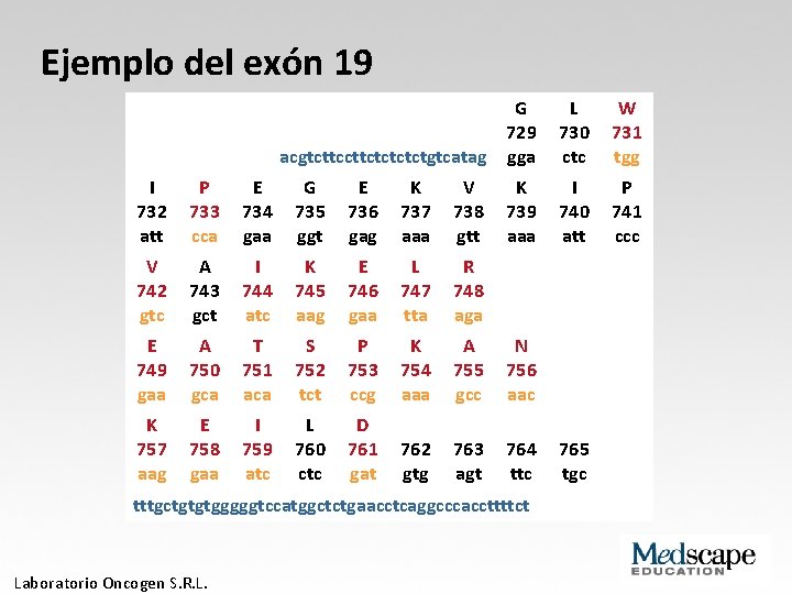 Ejemplo del exón 19 G 729 acgtcttctctctctgtcatag gga I 732 att P 733 cca