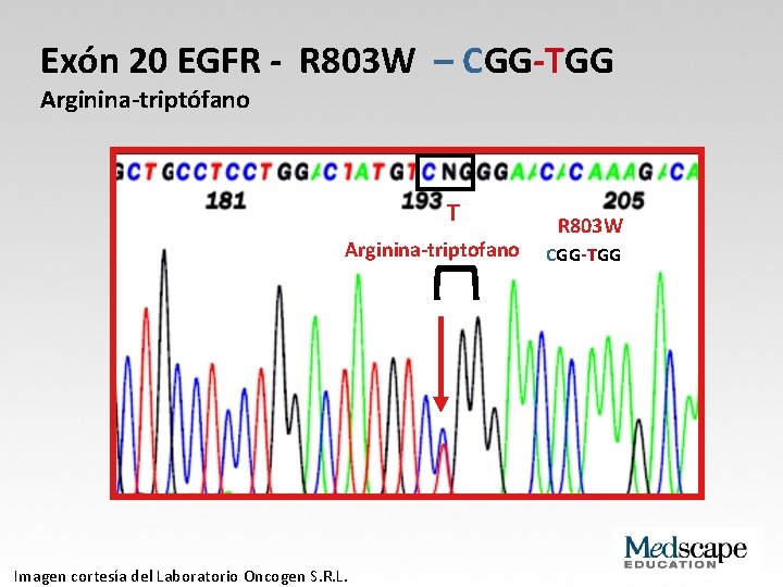 Exón 20 EGFR - R 803 W – CGG-TGG Arginina-triptófano T Arginina-triptofano Imagen cortesía
