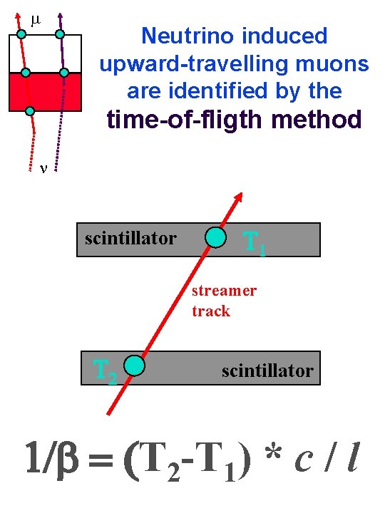 m Neutrino induced upward-travelling muons are identified by the time-of-fligth method n scintillator streamer