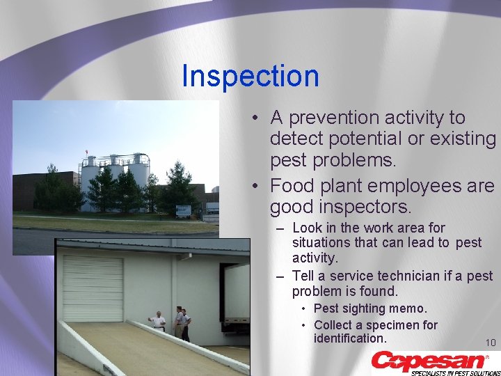 Inspection • A prevention activity to detect potential or existing pest problems. • Food