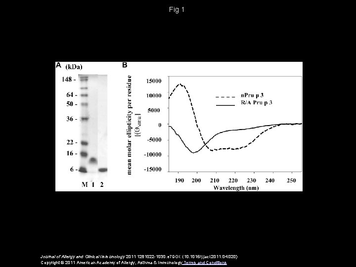 Fig 1 Journal of Allergy and Clinical Immunology 2011 1281022 -1030. e 7 DOI: