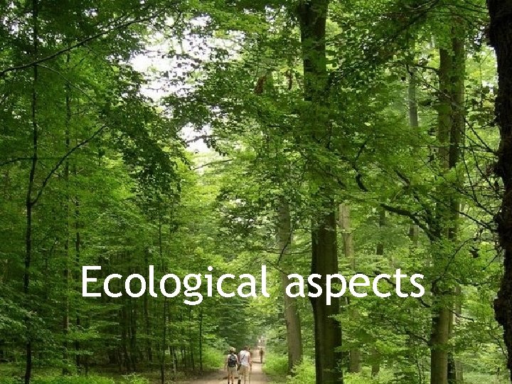 Ecological aspects 