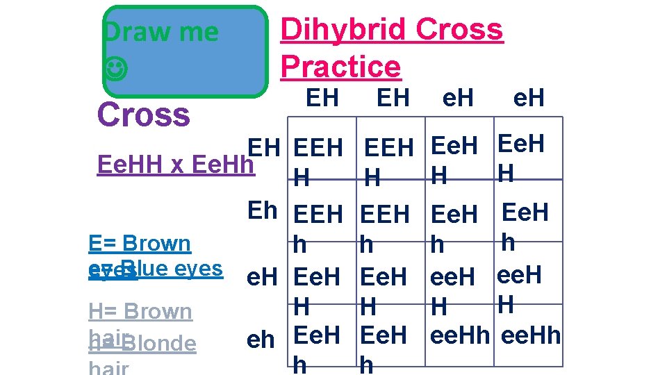 Draw me Dihybrid Cross Practice EH EH EH Ee. HH x Ee. Hh H