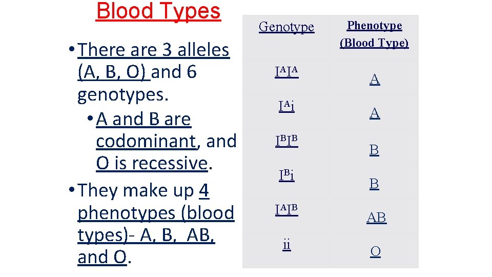 Blood Types • There are 3 alleles (A, B, O) and 6 genotypes. •