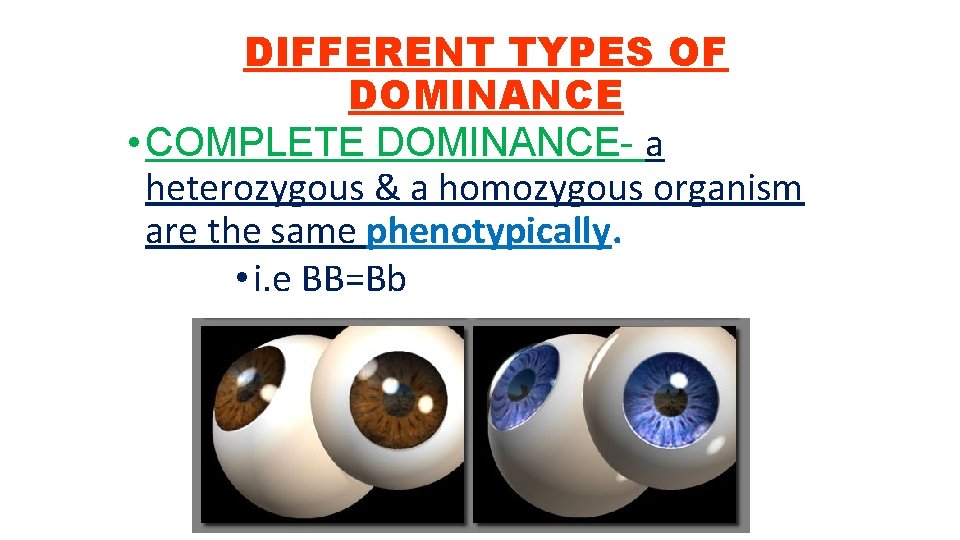 DIFFERENT TYPES OF DOMINANCE • COMPLETE DOMINANCE- a heterozygous & a homozygous organism are